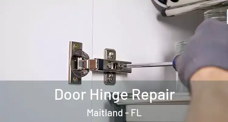  Door Hinge Repair Maitland - FL