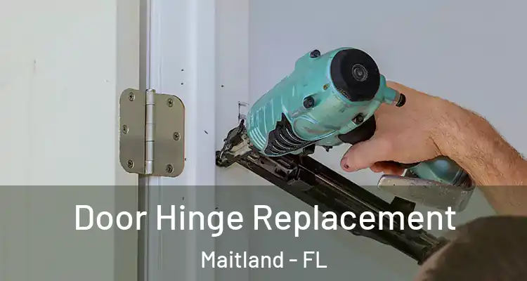  Door Hinge Replacement Maitland - FL