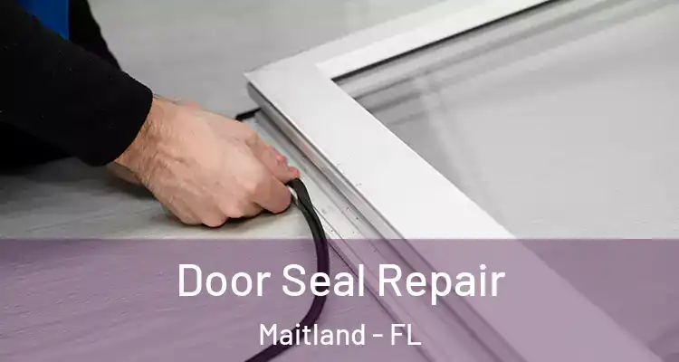  Door Seal Repair Maitland - FL