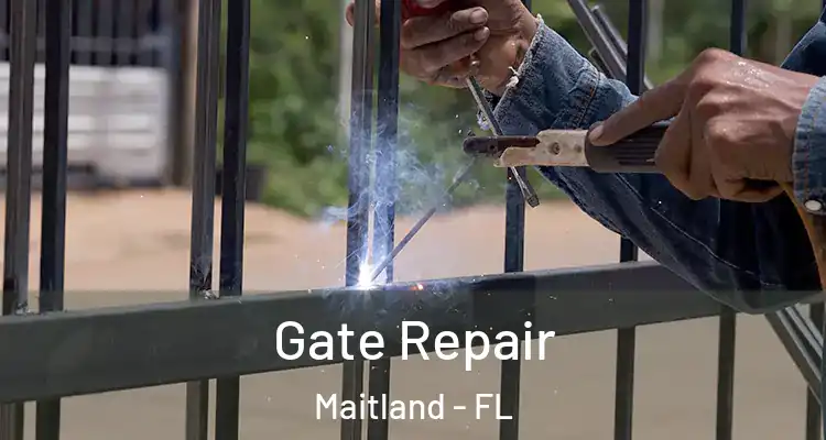  Gate Repair Maitland - FL