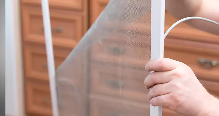 Privacy Mesh Screen Door Installation in Maitland, FL