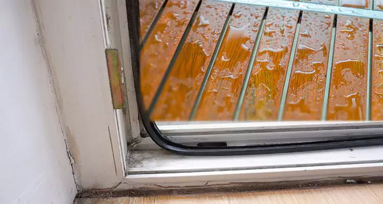 Water Leaking Wooden Patio Doors Repair in Maitland, FL