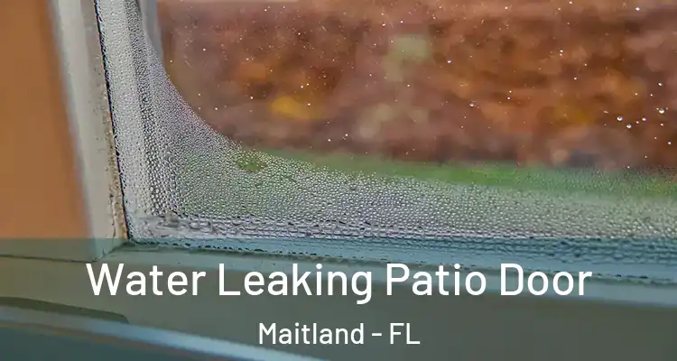  Water Leaking Patio Door Maitland - FL